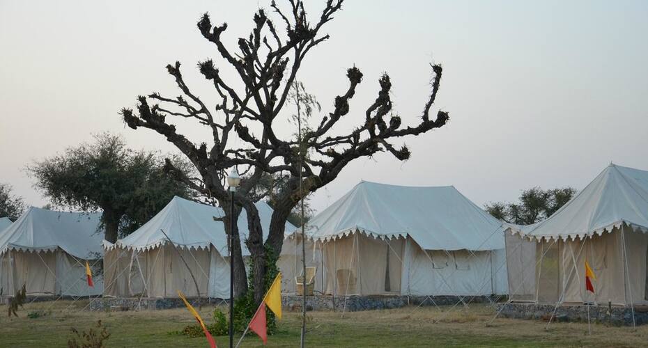 Ajitbagh - Jhajhar Khas Camp, Shekhawati 3